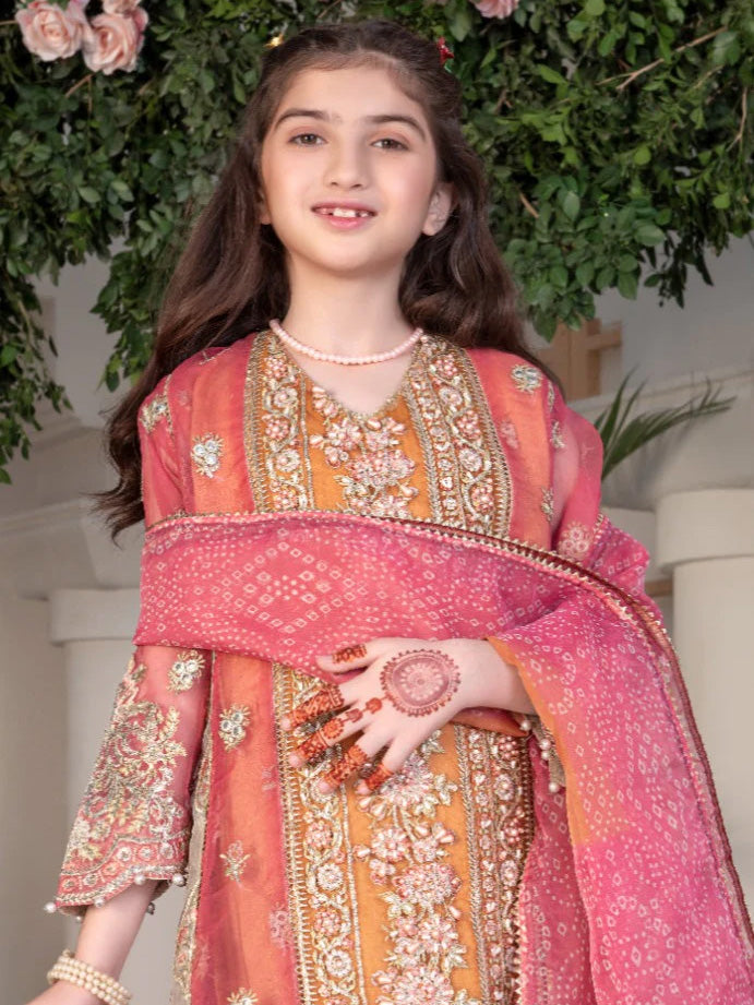 Ally's Kids Orange & Pink Embroidered Organza Suit (AL-3794)